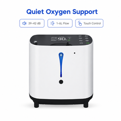 New Arrival! 1-6L/min Home Oxygen Concentrator BE04